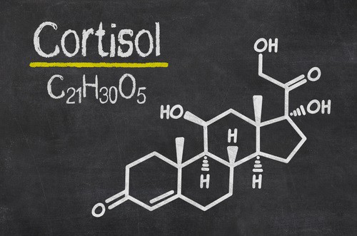 adrenal and thyroid connection