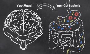gut health importance