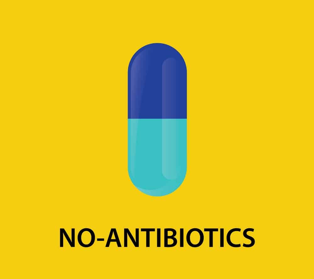 best foods to heal leaky gut antibiotics