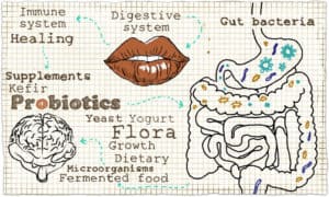 gut health importance