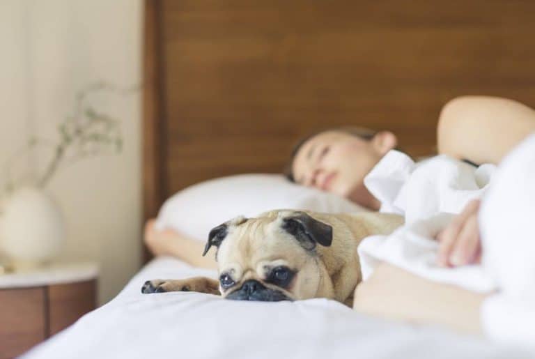 woman sleeping with dog