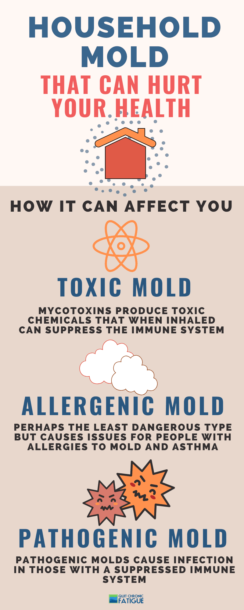 best of air purifiers for mold removal infographic on types of household mold
