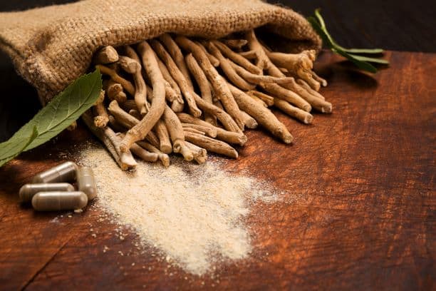 ashwagandha adrenal fatigue