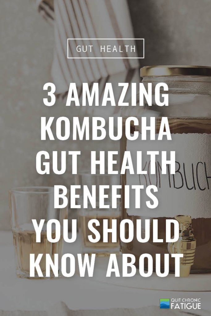3 Amazing Kombucha Gut Health Benefits You Should Know About | Quit Chronic Fatigue