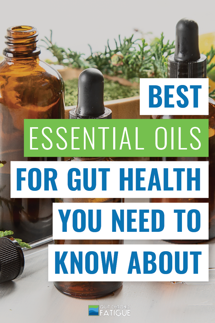 Best Essential Oils for Gut Health You Need to Know About Quit