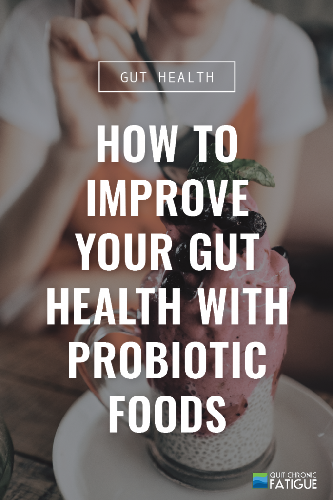 How to Improve Your Gut Health with Probiotic Foods | Quit Chronic Fatigue