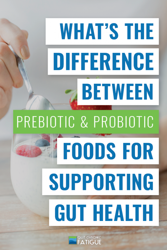 What's The Difference Between Prebiotic and Probiotic Foods For Supporting Gut Health? | Quit Chronic Fatigue