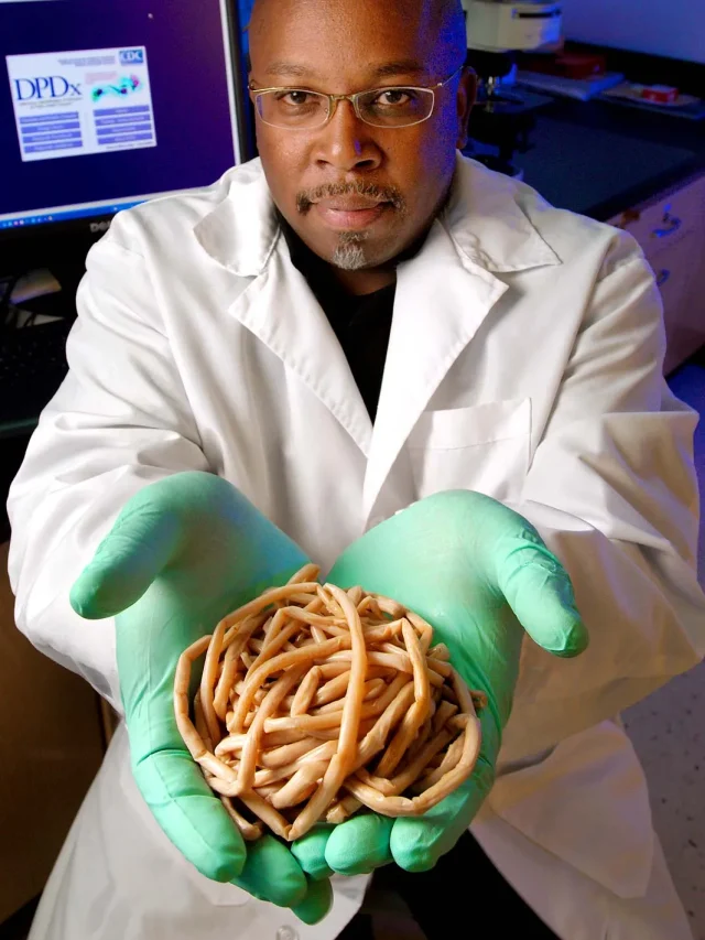 Stomach Parasite