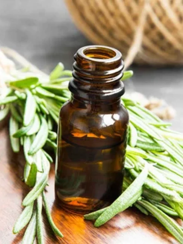 Rosemary Oil Benefits for Hair Growth