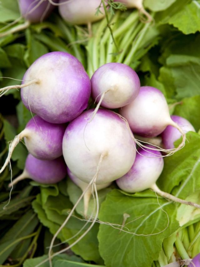 how to cook turnips on stove
